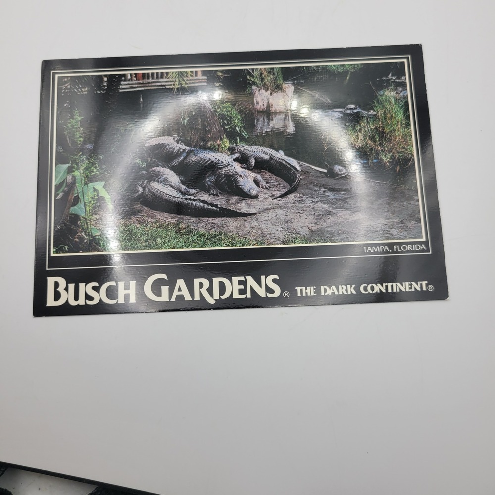Busch‎ Gardens The Dark Continent Tampa Florida Alligator Postcard